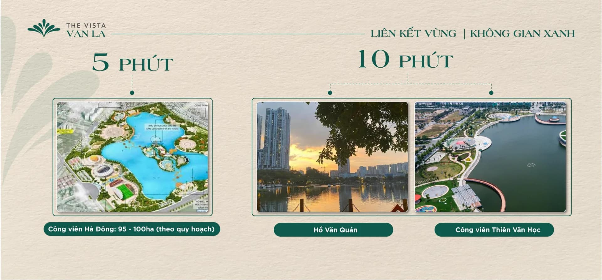 Liên kết vùng — minh họa slide (trang 20)